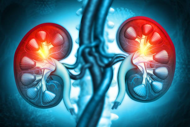 Certified nephrologists and medical team providing patient care